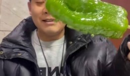 柳州吃瓜事件网红,网红引发的网络狂欢与争议